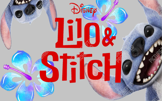 Bank  Card Sticker-BC-750